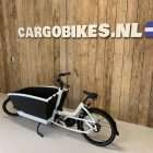 Img 9764 1