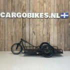 Carla cargo (type carla) trailer/ aanhanger 1 Artpic public l 4035324